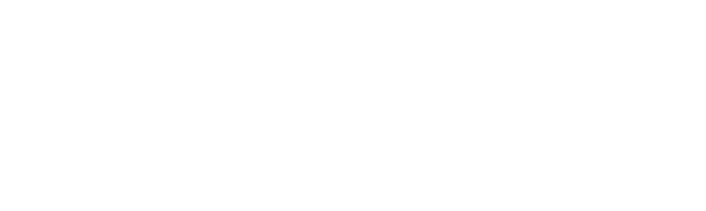 COU2IN Logo